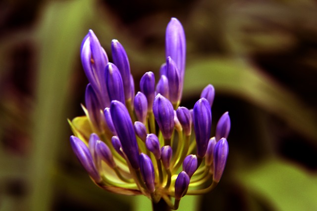 涯始于里昂 涯始于里昂