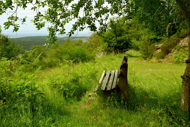 队员之间的 队员之间的