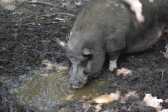 北控有效限 北控有效限