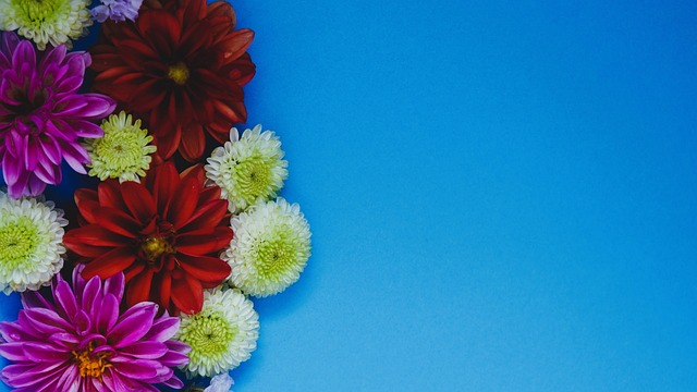 这一重任 这一重任