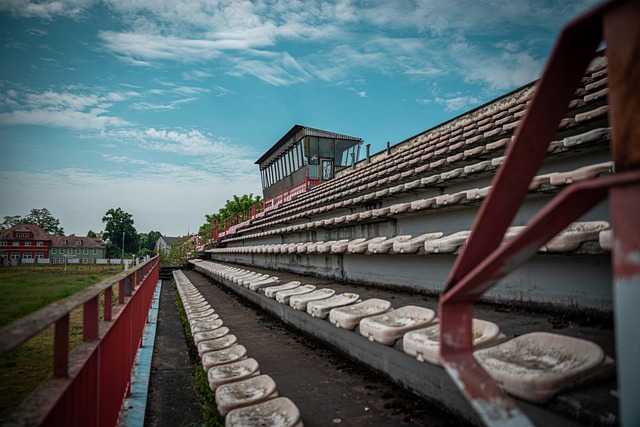 这些活动旨 这些活动旨