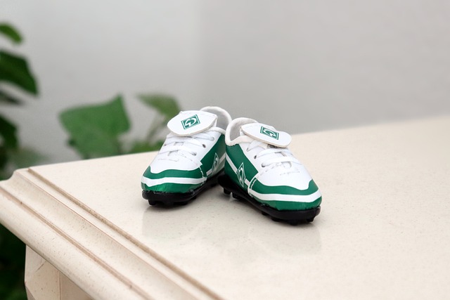 的到来还将 的到来还将