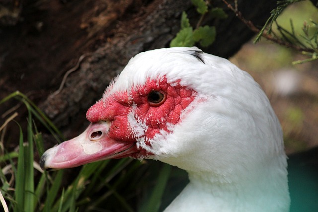 上的防守技 上的防守技